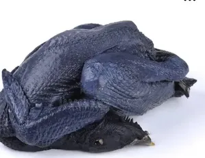 Ayam Cemani Chickens (5 Months Old)