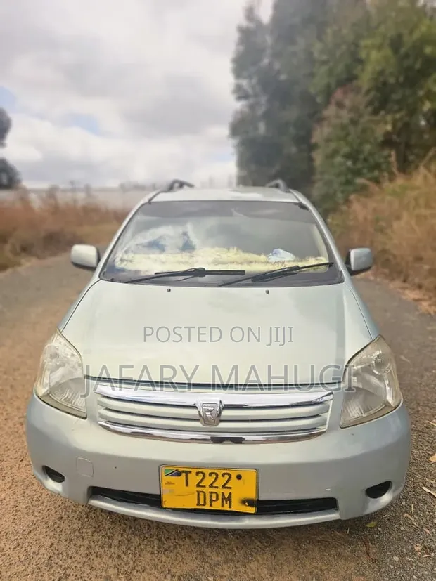 Toyota Raum 2009 Silver - 1