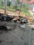 Local Ducks and Guinea Fowl - 1