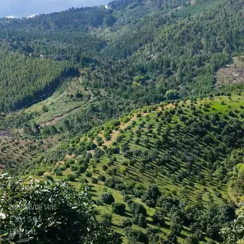 Shamba Linauzwa Mlimba, Morogoro - 1