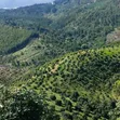 Shamba Linauzwa Mlimba, Morogoro - 1