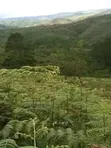 Shamba Linauzwa Mlimba, Morogoro - 2