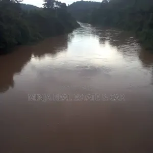 Farm for Sale in Mlimba, Morogoro