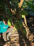 Shamba Linauzwa Mlimba, Morogoro - 5