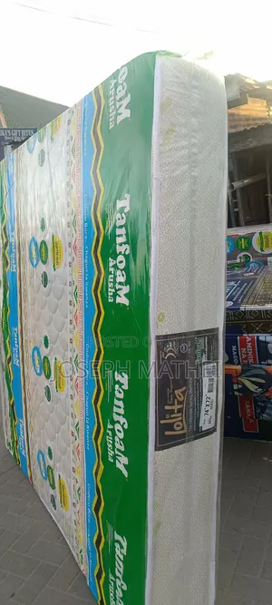Skyline Furniture Spring Mattress Queen 6/6 Inch
