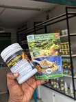 Moringa Nutrition Tea - 2