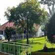 Furnished 2-Bedroom Apartment in Central Business Area for Rent - 1