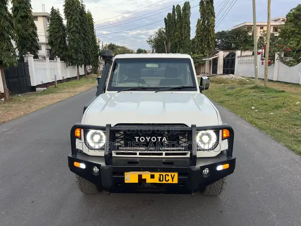 Toyota Land Cruiser 2004 Pickup - 1