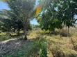 Prime Main Road Development Land for Sale, Buyu Zanzibar - 4