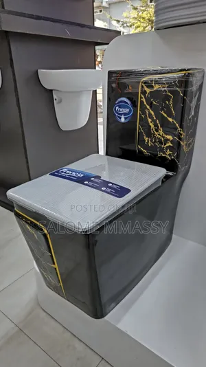 Frencia Luxury One-Piece Toilet - Black Gold Marble