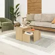 Kanta Coffee Table - Sapphire Oak - 1
