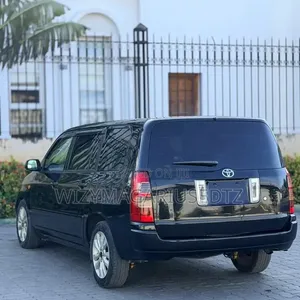 Toyota Succeed TX 2005 - Matt Black