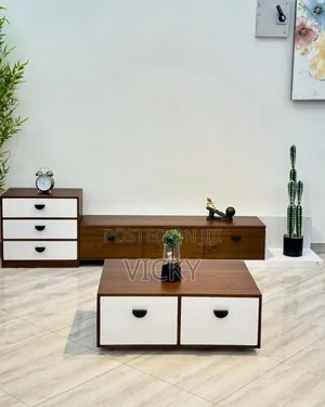 Modern Coffee Table with Showcase