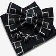 The Architect Bowtie Set - 2