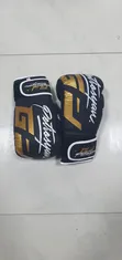 Professional Boxing Gloves - 1