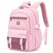 New Classic Bag - Large Size - 2