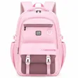 New Classic Bag - Large Size - 5