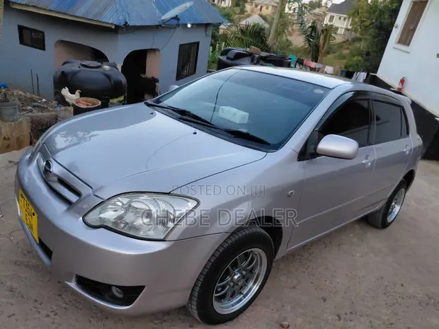Toyota Corolla RunX 2006 Pink - 1