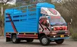 Mitsubishi Canter 3.5 Ton Truck - 3