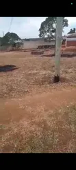 Godown la Kuuzwa - Msolwa Chalinze, 23,000 SQM - 4