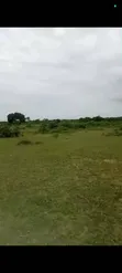 10 Acres Farm for Sale, Kitopeni, Bagamoyo - 1