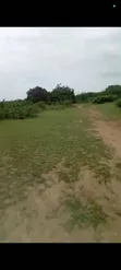 10 Acres Farm for Sale, Kitopeni, Bagamoyo - 2
