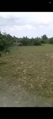 10 Acres Farm for Sale, Kitopeni, Bagamoyo - 3