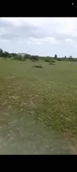 10 Acres Farm for Sale, Kitopeni, Bagamoyo - 4