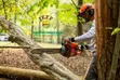Husqvarna Chainsaw 24" Bar - Brazil Origin - 3