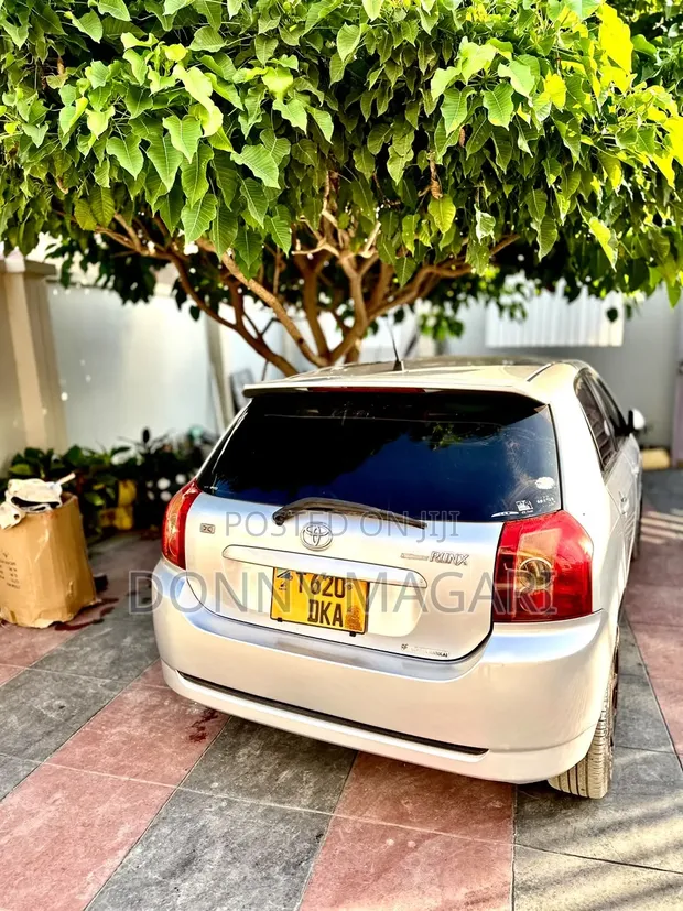 Toyota Corolla RunX 2006 Silver - 1