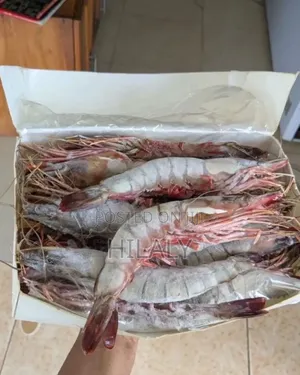 King Prawns for Sale