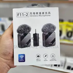 F11-2 Wireless Microphone System with Windshield