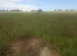 Residential Plot for Sale - Kigamboni - 2