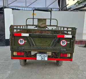 Sinoray SR250-Q7 Pikipiki 2021 - Kijani