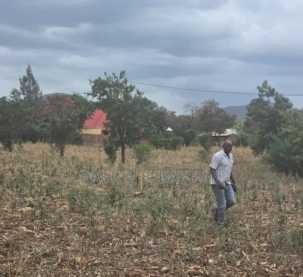 Residential Plots for Sale, Moshi - Himo Junction - 1