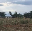 Residential Plots for Sale, Moshi - Himo Junction - 3