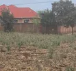 Residential Plots for Sale, Moshi - Himo Junction - 4