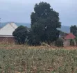 Residential Plots for Sale, Moshi - Himo Junction - 5