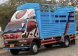 Mitsubishi Canter 3.5 Ton Mini Truck - 3