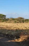 Residential Land for Sale - East Africa Road Bypass, Kikwe - 3