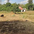Residential Plot Near Nelson Mandela African Institute of Science and Technology - 4