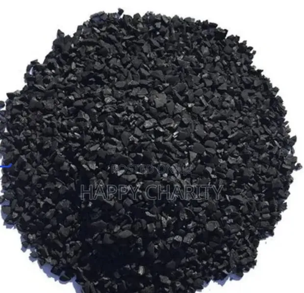 Activated Carbon Filter for RO Machines - 1