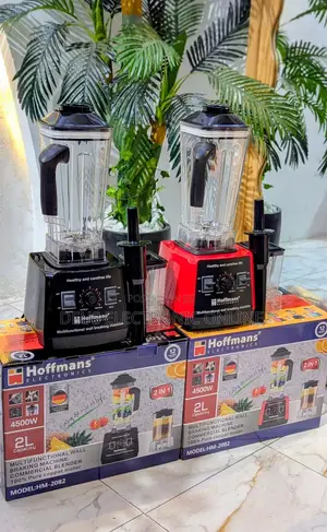 Hoffman Heavy Duty Blender 2L 2-in-1