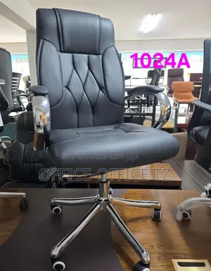 Brand New Office Chair (Zebra)