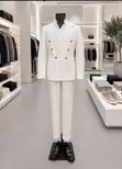 Elegant Men's Suit (Gant) - 2