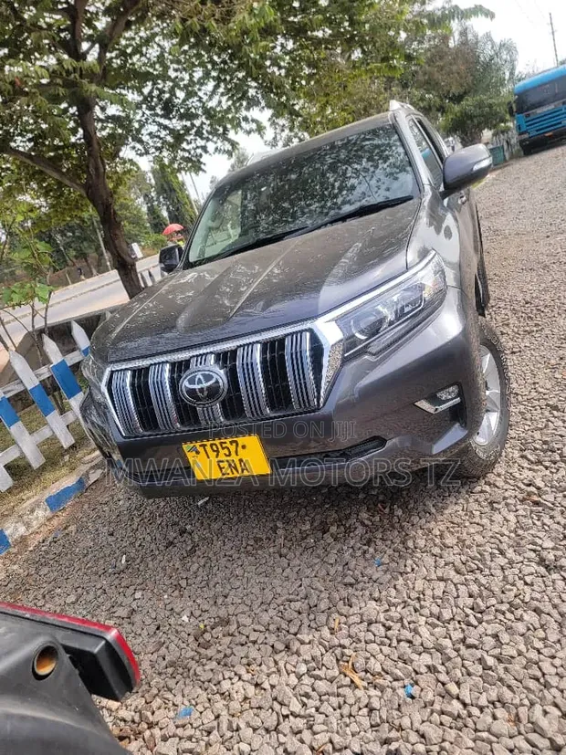Toyota Land Cruiser Prado 2019 Gray - 1