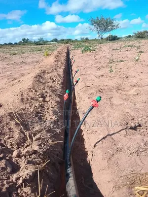 Drip Irrigation Installation Line