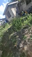 3-Bedroom Bungalow for Sale in Makongo Juu CCM, Kinondoni - 5
