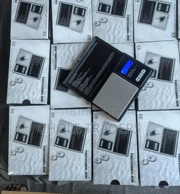 Professional Mini Digital Pocket Scale - 1