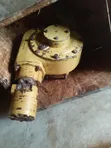 Caterpillar G & H Series Circle Turning System (Used) - 1
